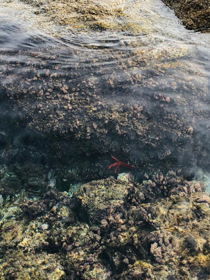 Almadrava Beach ロザス エクステリア 写真